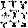 Olympic Barbell Bar Plates 5Ft Solid Iron Fitness Weightlifting